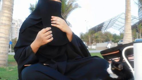 娱乐吃瓜君变形记,揭秘明星幕后生活